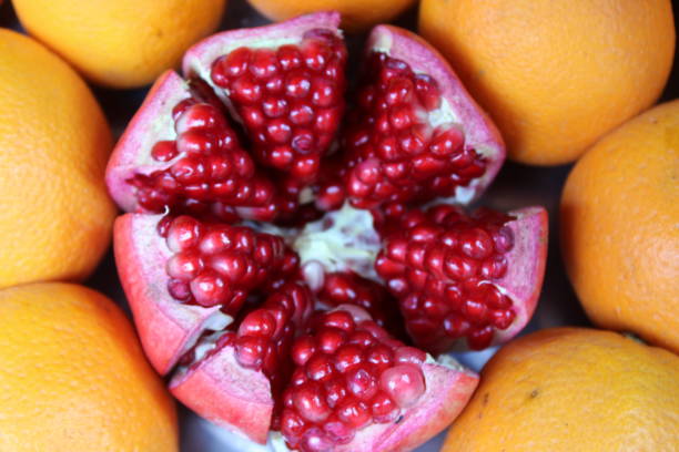 istock Foods and fruits 1340469986