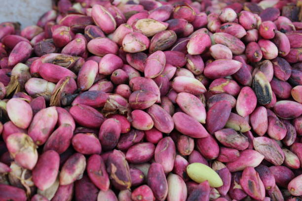 istock Foods and fruits 1340470475
