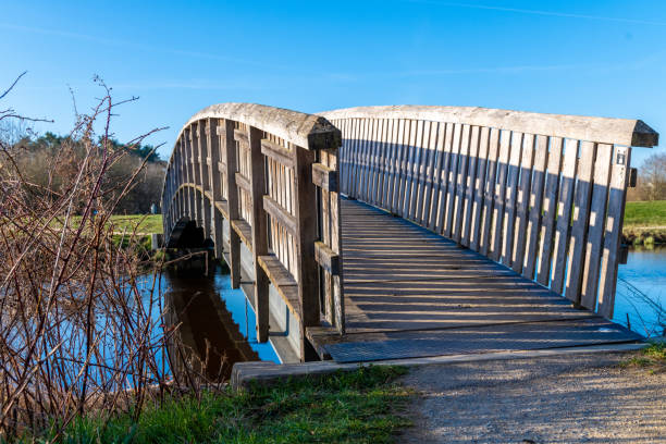 istock Wooden bridge over water 1340472125