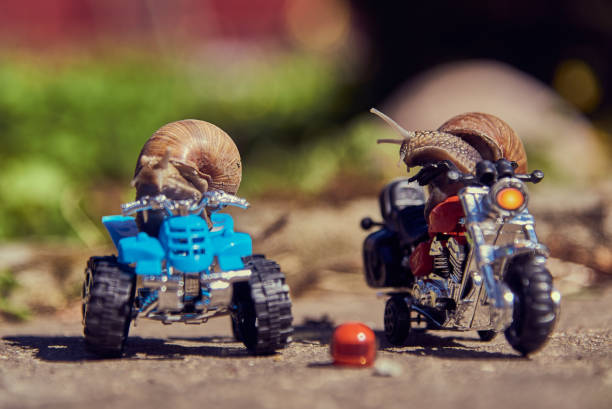 istock One snail on a quad bike, the second on a motorcycle on a blurry background. 1340472894