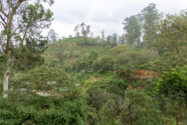 istock Wonderful natural landscape. Green hilly valley a 1340474860