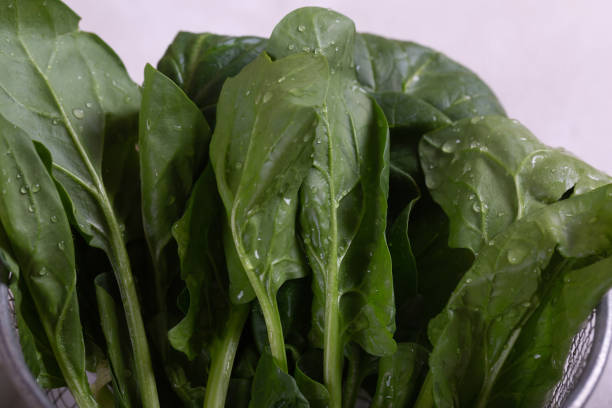 istock Spinach is the main ingredient in a green cocktail detoxification. 1340475186