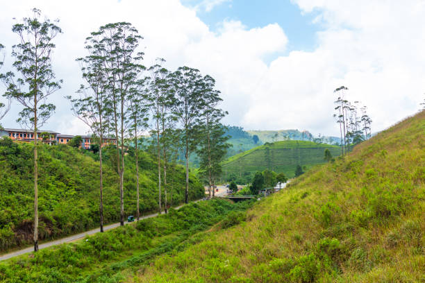 istock Wonderful natural landscape. Green hilly valley a 1340475630