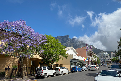 Cape Town, South Africa - November 5, 2019:  Streetview of Kloof Street against cloudy sky with Jacaranda tree in full bloom