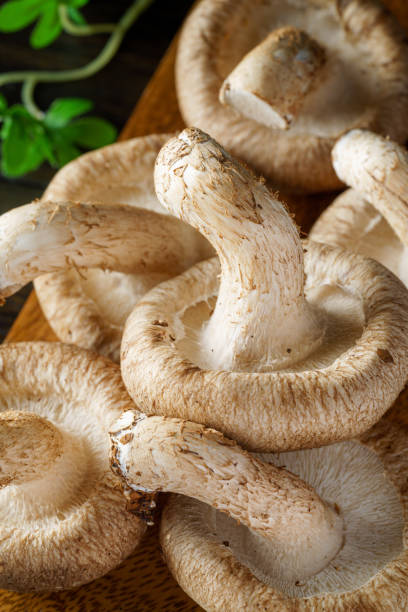 istock Shiitake mushroom on wooden table 1340480416
