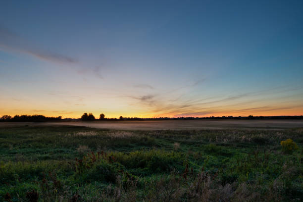 istock Fog over the meadow, view after sunset 1340486424