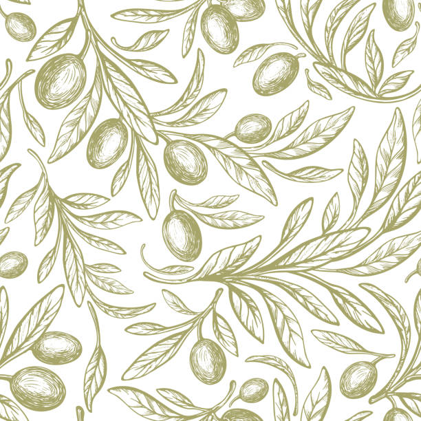 ilustrações de stock, clip art, desenhos animados e ícones de oliva seamless pattern. vector tree, green fruit - olives