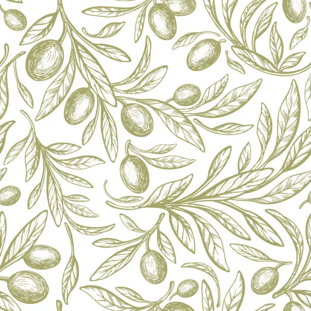 Vector illustration of Oliva seamless pattern. Vector tree, green fruit