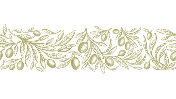 oliwkowy bezszwowy wzór, powtórz pasek. ciągnione owoce - olive olive tree olive branch branch stock illustrations