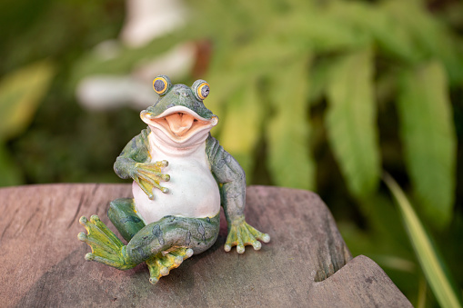 Plastic or ceramic frog figurine in the greenery.