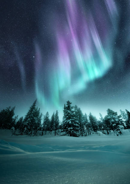 istock Winter Northern Lights Above A Forest 1340496217