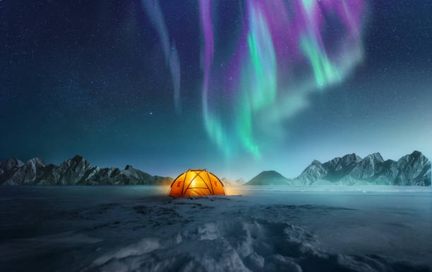 campeggio sotto l'aurora boreale - notte immagine foto e immagini stock