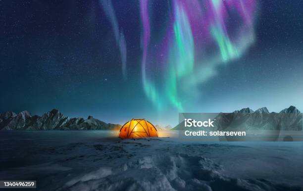 Camping Under The Northern Lights Stock Photo - Download Image Now - Aurora Borealis, Travel, Aurora Polaris