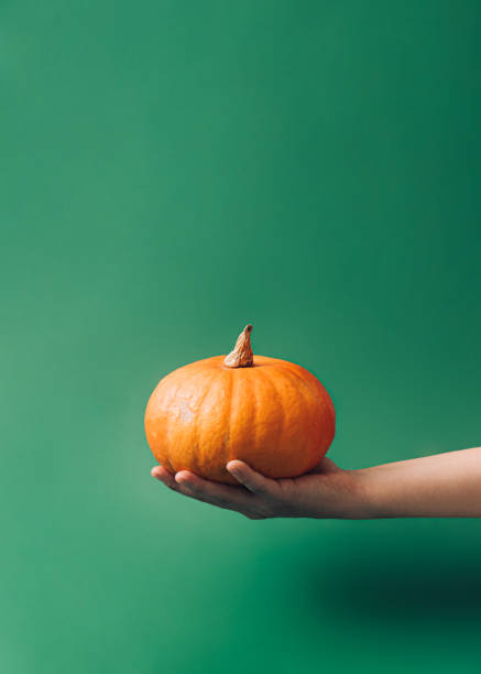 minimalistyczny estetyczny pomysł na jesień i halloween z kobiecą dłonią trzymającą świeżą dynię. ciemne nastrojowe zielone tło, wizualna pionowa dekoracja i koncepcja rzemiosła. - color image halloween people elegance zdjęcia i obrazy z banku zdjęć