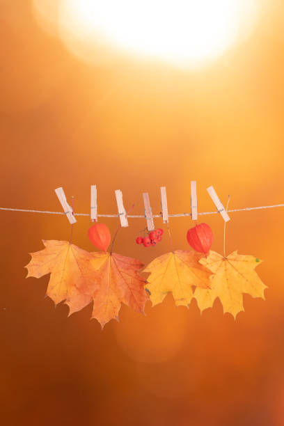 istock Autumn orange maple leaves on orange vertical background with bokeh 1340500030