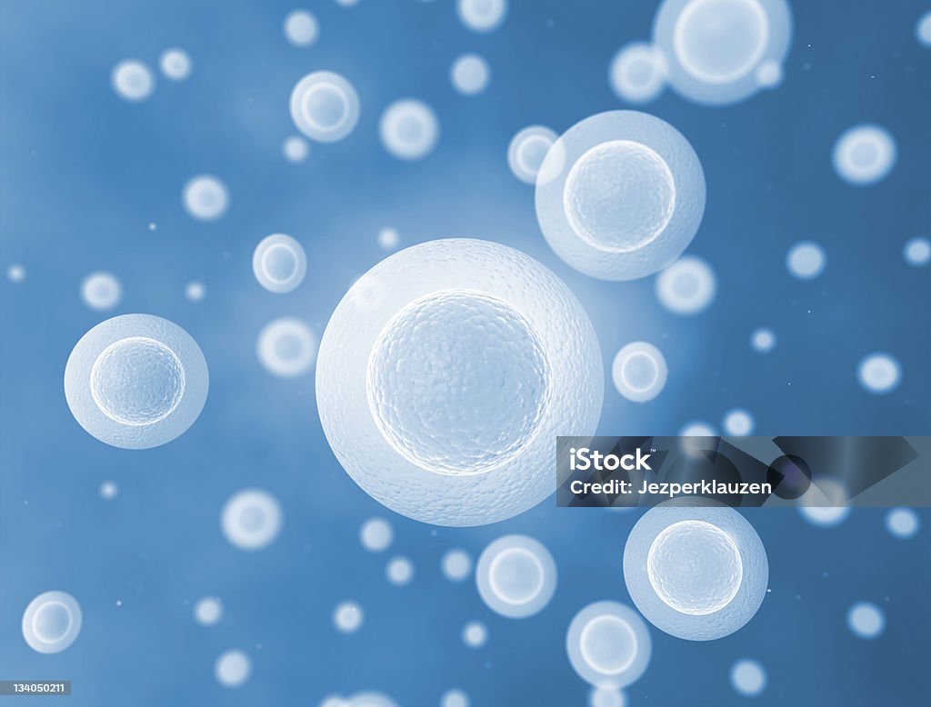 Cellules sous microscope - Photo de Bactérie libre de droits