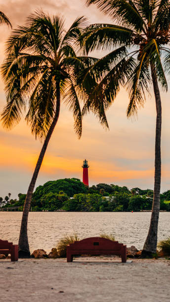 jupiter leuchtturm mit palmen - meeresarm stock-fotos und bilder