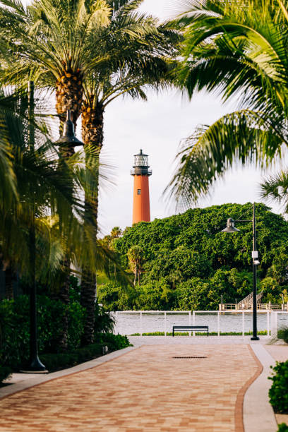 farol de júpiter com palmeiras - city of sunrise fotos - fotografias e filmes do acervo