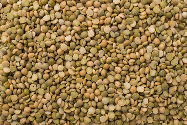 istock Green Uncooked Lentil Background 1340510386