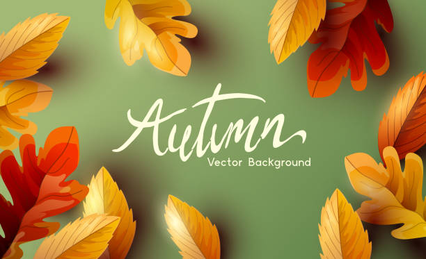 Golden Leaves On A Autumn Background Autumn thanksgiving  background design with falling autumn leaves and room for text. Vector illustration happy thanksgiving stock illustrations