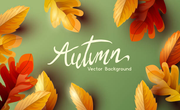 Golden Leaves On A Autumn Background Autumn thanksgiving  background design with falling autumn leaves and room for text. Vector illustration fall stock illustrations