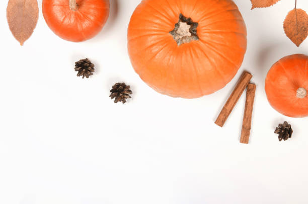 istock Autumn background with orange pumpkin, cinnamon and leaves 1340513843