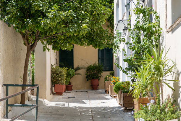 istock Old house empty paved yard, pots with blooming plants summer sunny day background. 1340514322