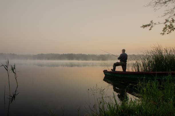 fisherman fisherman during foggy summer sunrise freshwater fishing stock pictures, royalty-free photos & images