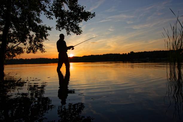 angler silhouette - fishing supplies imagens e fotografias de stock