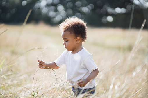 Side view of cute african boy discovering nature on summer field. Curious little child touching and smelling plants outdoors. Childhood concept.