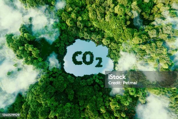 Concept Depicting The Issue Of Carbon Dioxide Emissions And Its Impact On Nature In The Form Of A Pond In The Shape Of A Co2 Symbol Located In A Lush Forest 3d Rendering Stock Photo - Download Image Now
