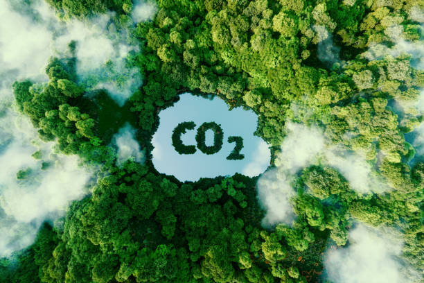 concept depicting the issue of carbon dioxide emissions and its impact on nature in the form of a pond in the shape of a co2 symbol located in a lush forest. 3d rendering. - dióxido de carbono imagens e fotografias de stock