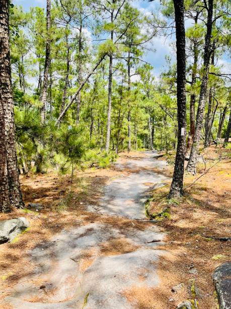 istock Stone Mountain park Atlanta Georgia 1340521400