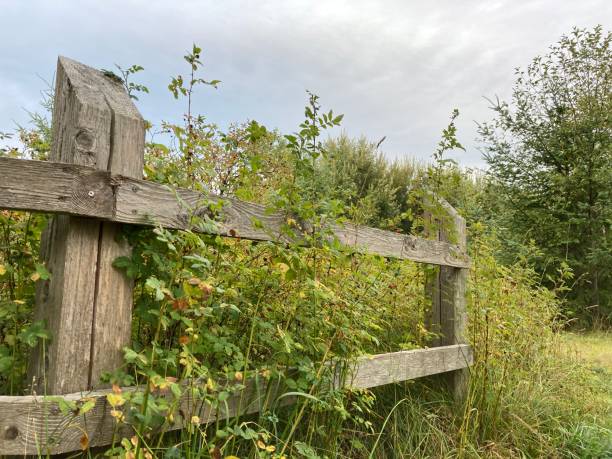 istock In the Country 1340521959