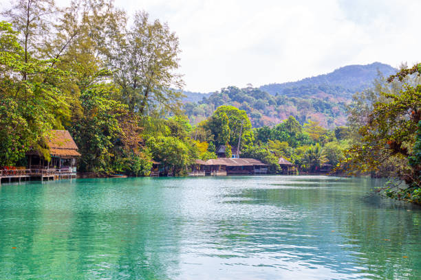 istock houses by the river in the jungle 1340523599
