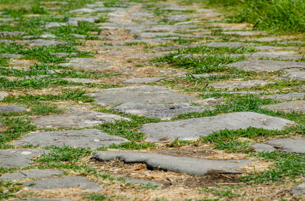 istock Old pavement of Pestum 1340529210