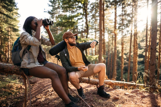 istock Couple sight seeing with binoculars in the forest 1340531353