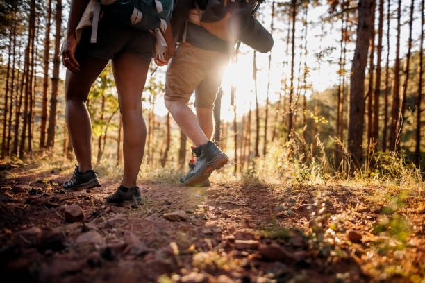 istock Young couple enjoying beautiful forest 1340531410