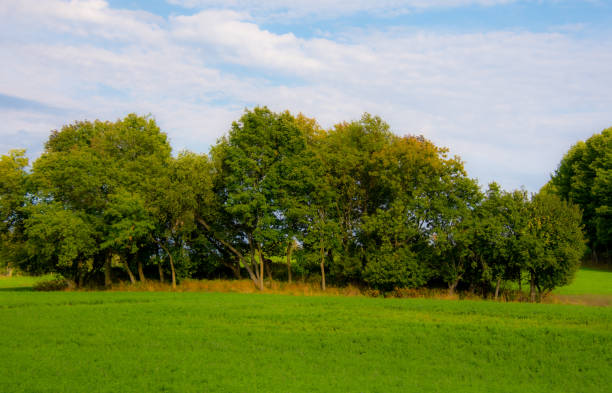 istock Countryside landscape with farm 1340533696