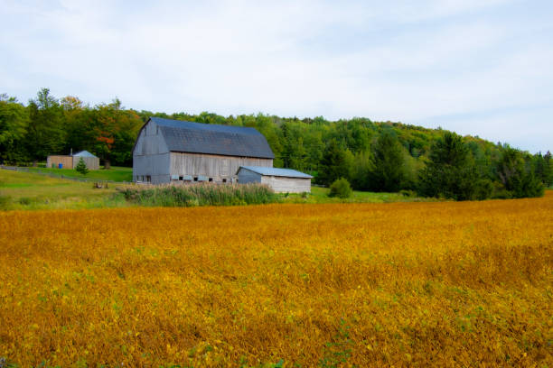 istock Countryside landscape with farm 1340535232