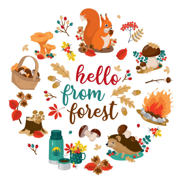 FOREST CIRCLE SET Hello from the forest set in a circle: hedgehog, squirrel, mushrooms, stump, hazelnuts, acorns, bonfire. Vector clipart, white background. oak fire stock illustrations