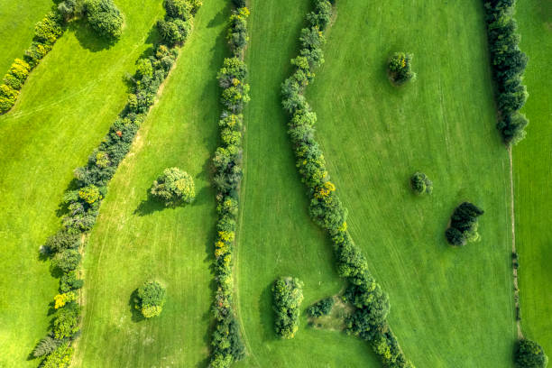 istock panoramic mountain landscape with the green meadows (aerial) 1340544918