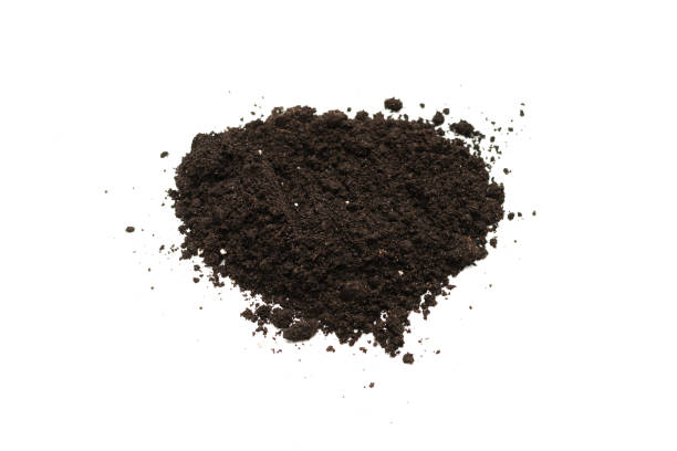 istock Black land for plant isolated on white background. 1340546186