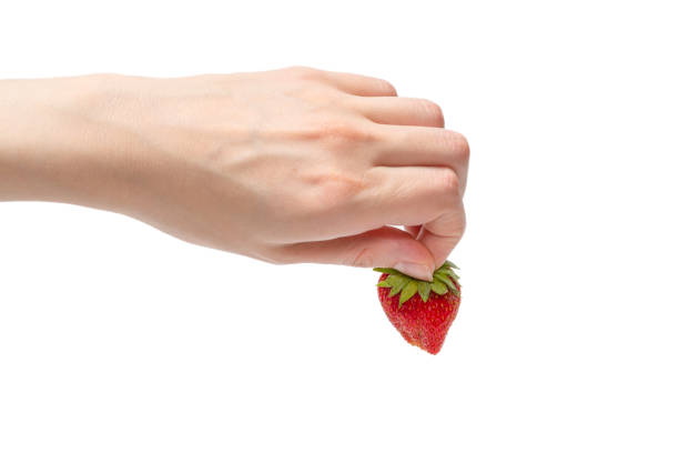 istock Strawberry kept in hands isolated on white background. 1340546221
