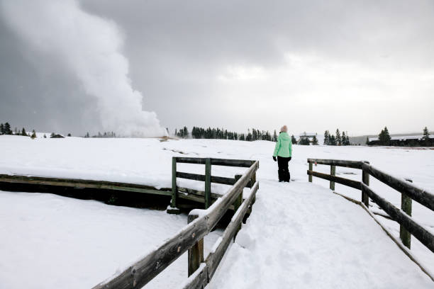 istock Yellowstone geyser sightseeing in winter 1340547325