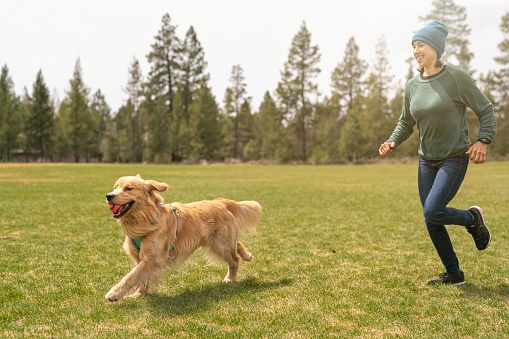An adorable and energetic golden retriever carries a ball in his mouth while running through a grassy dog park in Oregon. The pet's owner is a young Eurasian woman. The woman is happily chasing the dog. She is wearing a sweater and winter hat because it is a cold yet sunny day in the Pacific Northwest. Copy space.