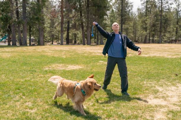 istock Senior man playing fetch with his golden retriever 1340548950