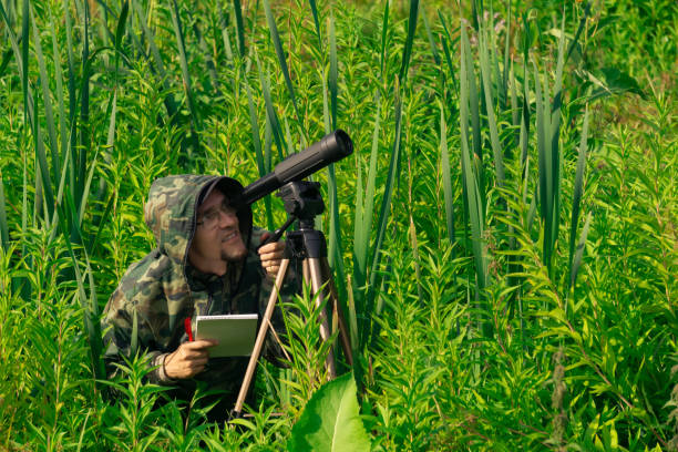 男の野生動物研究者は、スポッティングスコープでフィールド観察を行います - gamekeeper ストックフォトと画像