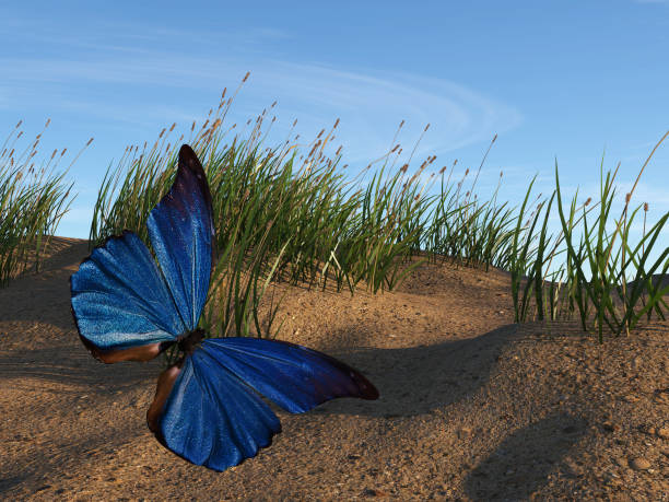 istock Illustration of a blue butterfly flying over a sand dune 1340553192