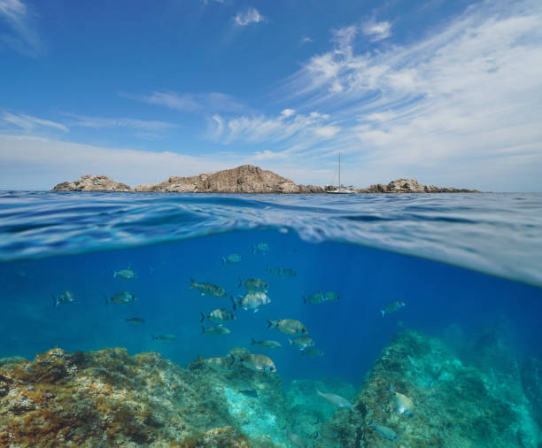 istock Seascape Mediterranean sea rocky island and fish 1340555625